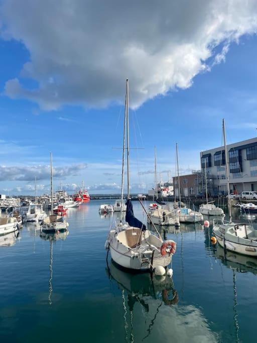 Apartment Spacieux Bellevue De 1 A 6 Personnes Brest