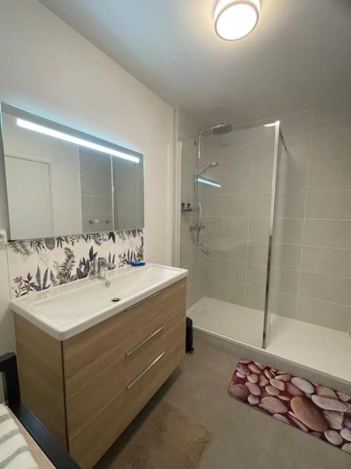 Apartment Spacieux Bellevue De 1 A 6 Personnes *